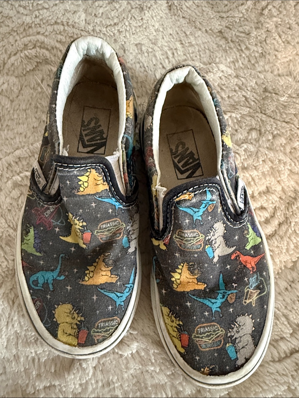 Vans Kids Slip-On Sneakers with Colorful Dinosaur Print